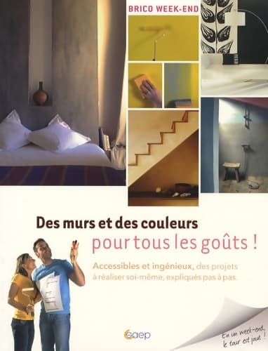 Des murs et des couleurs pour tous les goûts ! : Accessibles et ingénieux des projets à réaliser soi-même expliqués pas à pas - Catherine Nadal