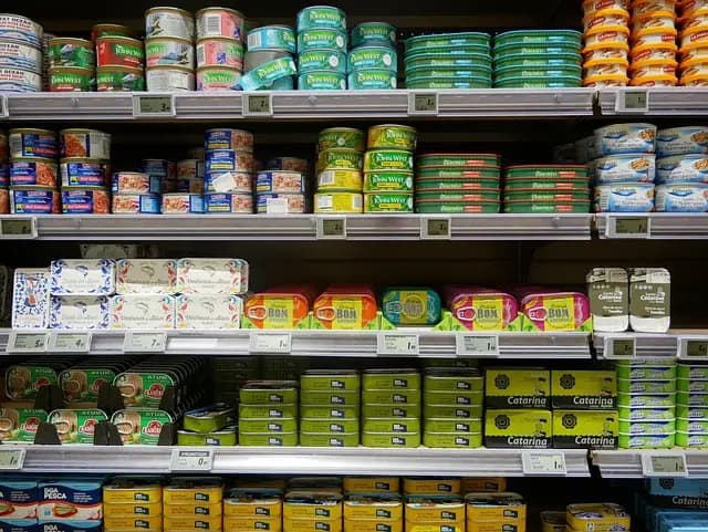 Comment choisir des accessoires adaptés pour un shopping accessible