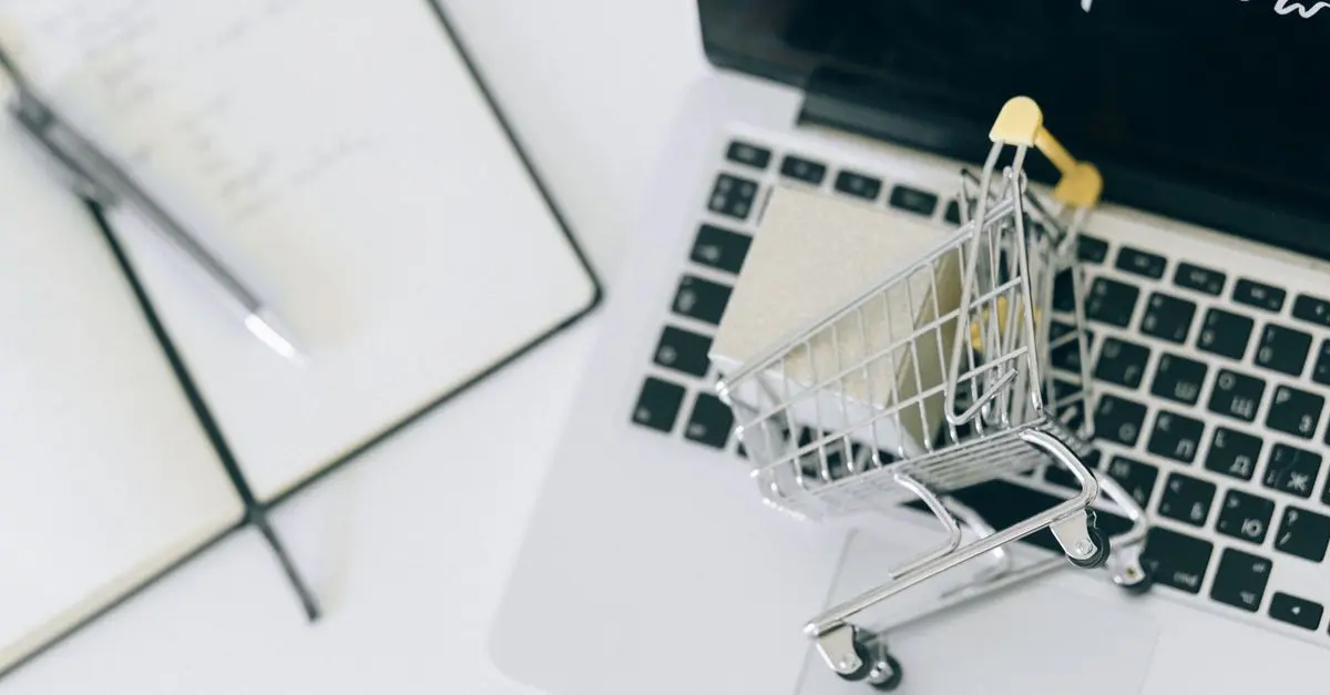 Top 10 des astuces pour un shopping en ligne accessible