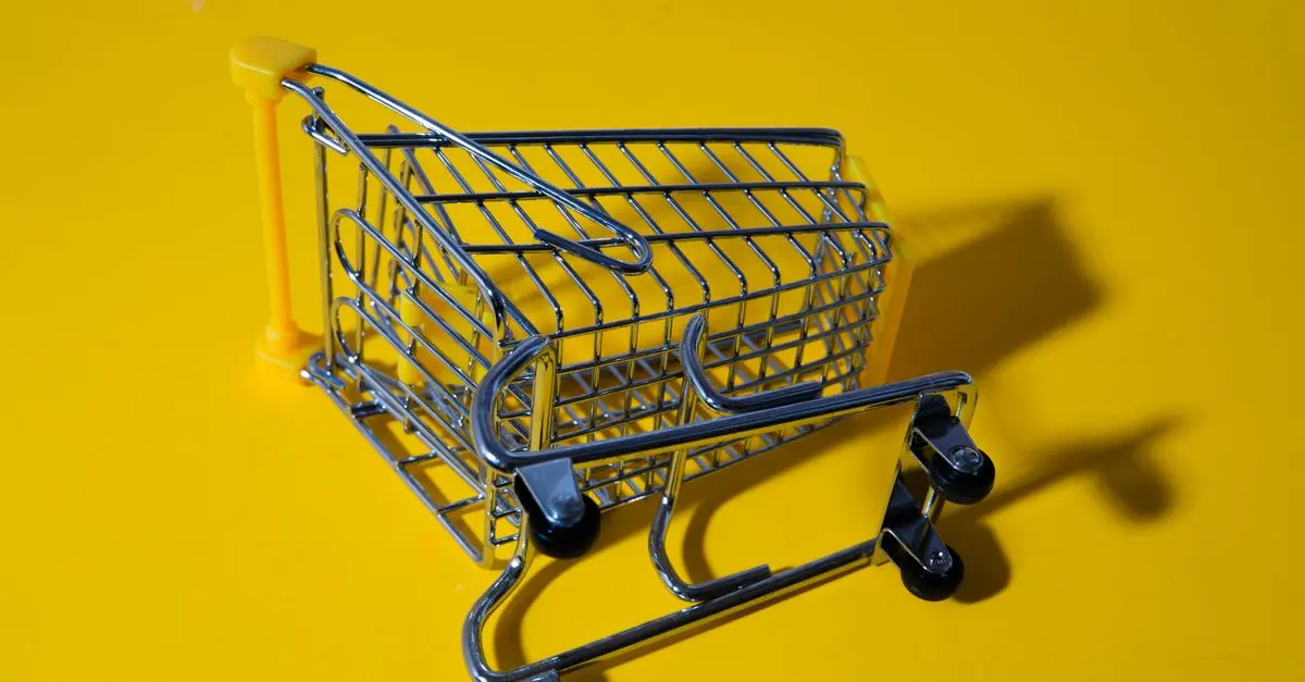 Les critères essentiels pour un shopping accessible réussi
