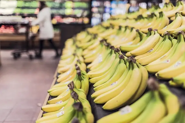 Les tendances du shopping accessible à suivre