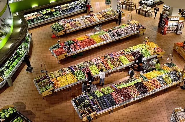 Comment choisir des produits accessibles pour vos besoins