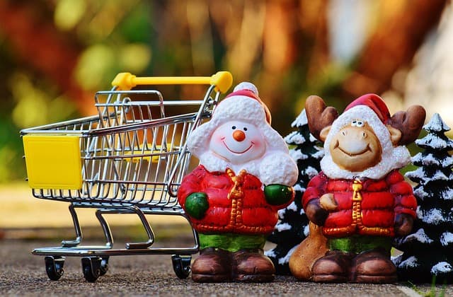 Les défis de l'accessibilité pour le shopping en ligne